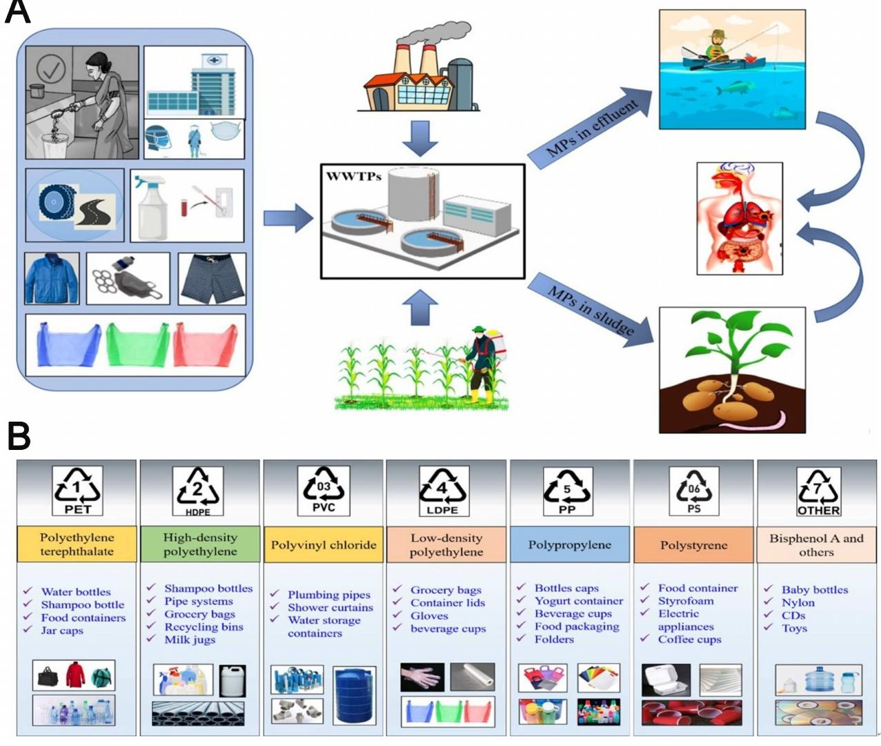 (PDF) Microplastic removal by coagulation: a review of optimizing the ...