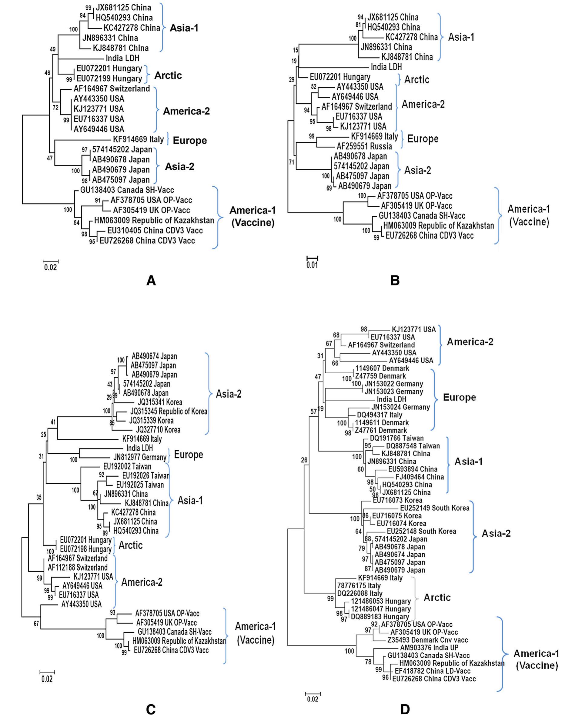 (PDF) Isolation and phylogenetic characterization of Canine distemper ...