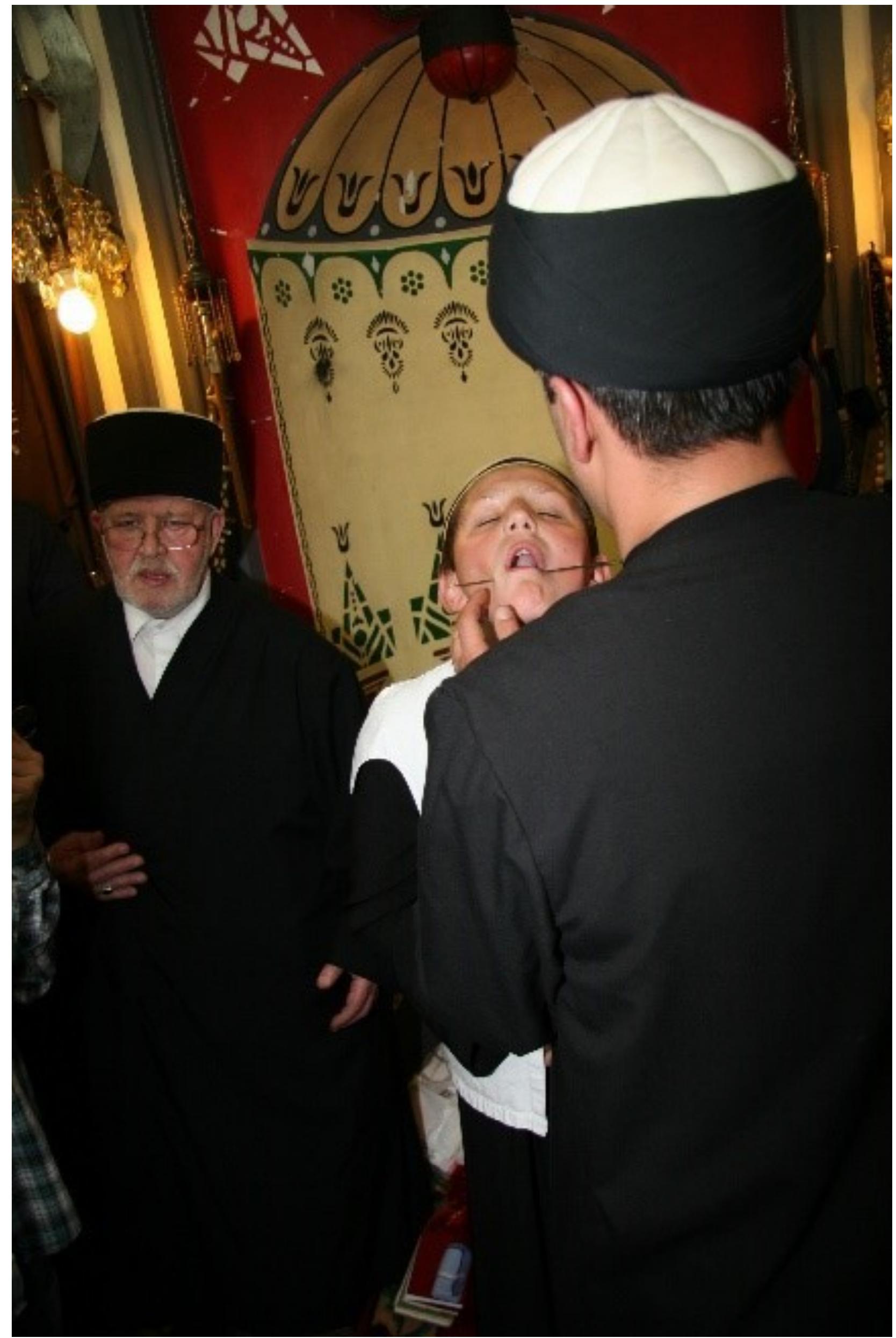 Fig. 8: Darb al-silah during the Ashura zikr, Teqeja e Haxhi Shejh Iljazit in Rahovac, western Kosovi Photo © Sara Kuehn, 2013. 