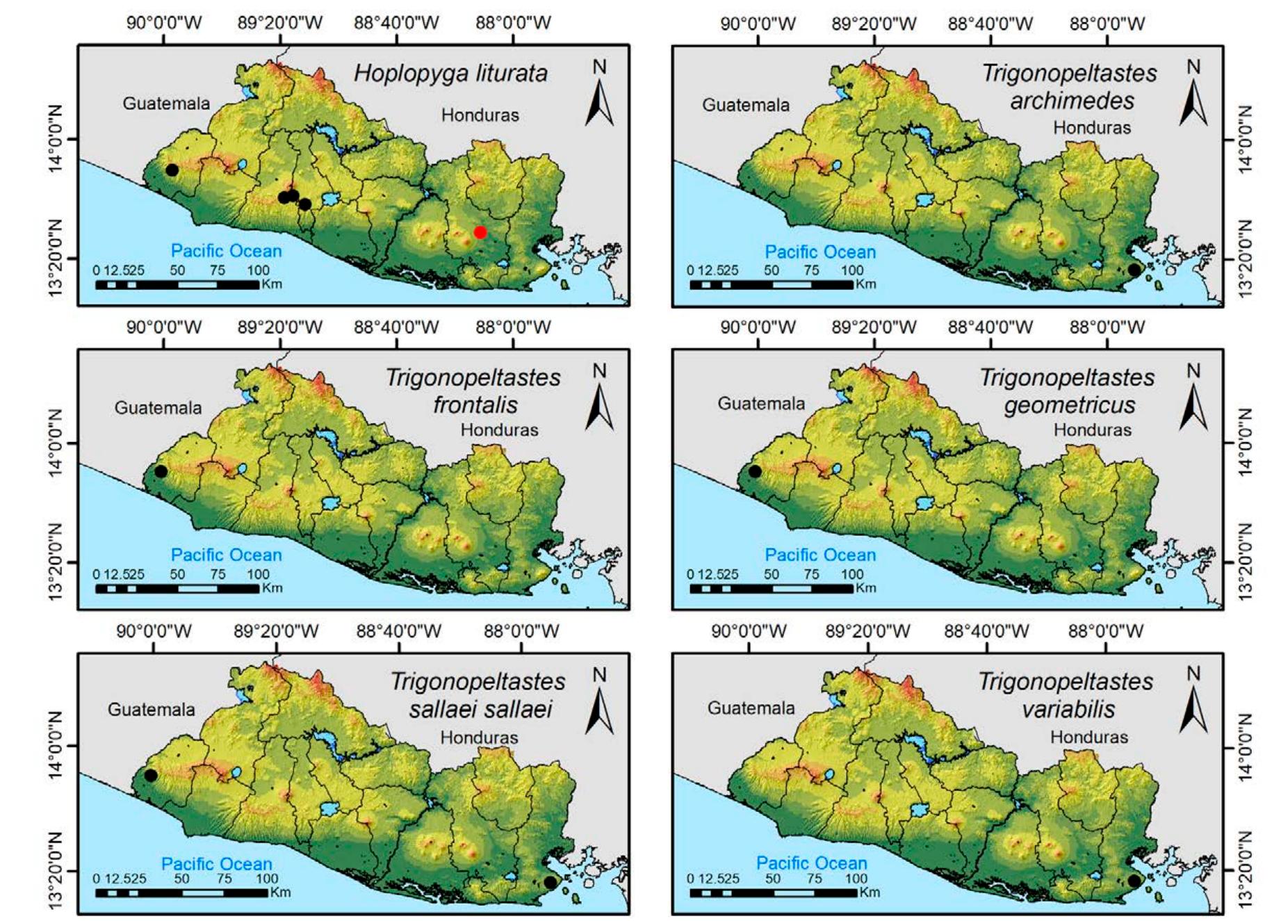 Figure 29. Distribution maps for Hoplopyga liturata, Trigonopeltastes archimedes, T. frontalis, T. geometricus, T. sallaei sallaei, and T. variabilis in El Salvador. 