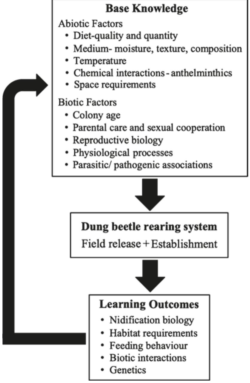 Fig. 2. A dung beetle rearing system as a platform facilitat- ing continuous improvement from base knowledge to learning outcomes. 