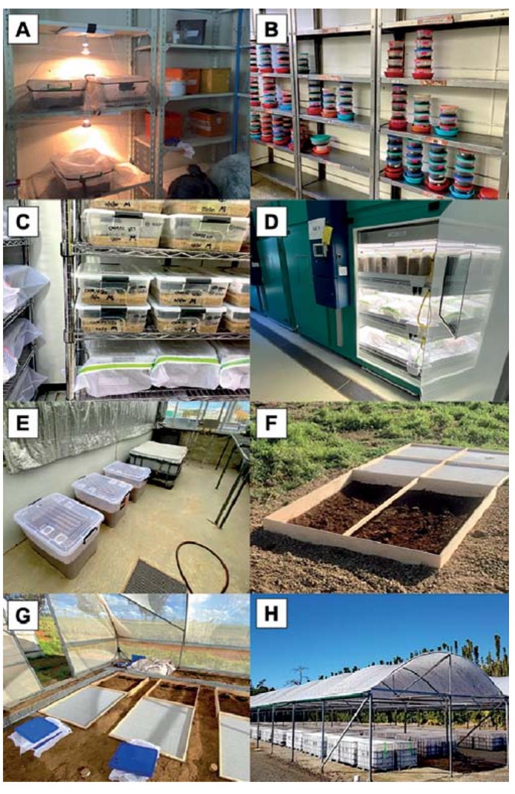 Fig. 3. Variation in the scale of dung beetle rearing setups around the world. Small-scale indoor rearing (A: South Africa, B: Mexico, C—D: Australia), medium-scale rearing in glass houses (E: Australia), and different scales (medium to large) out- door rearing (F—G: Australia, H: New Zealand). 