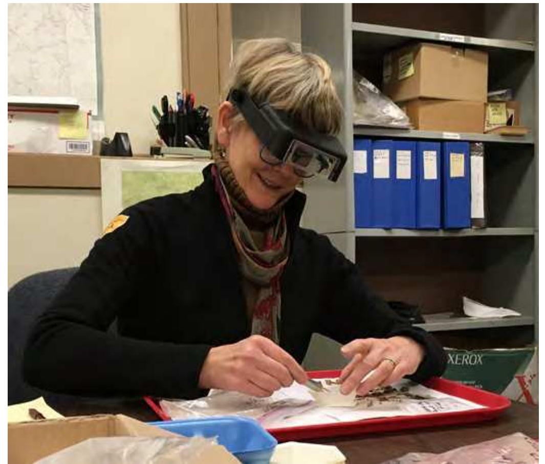 Columbia Plateau Archaeology Research Papers - Academia.edu