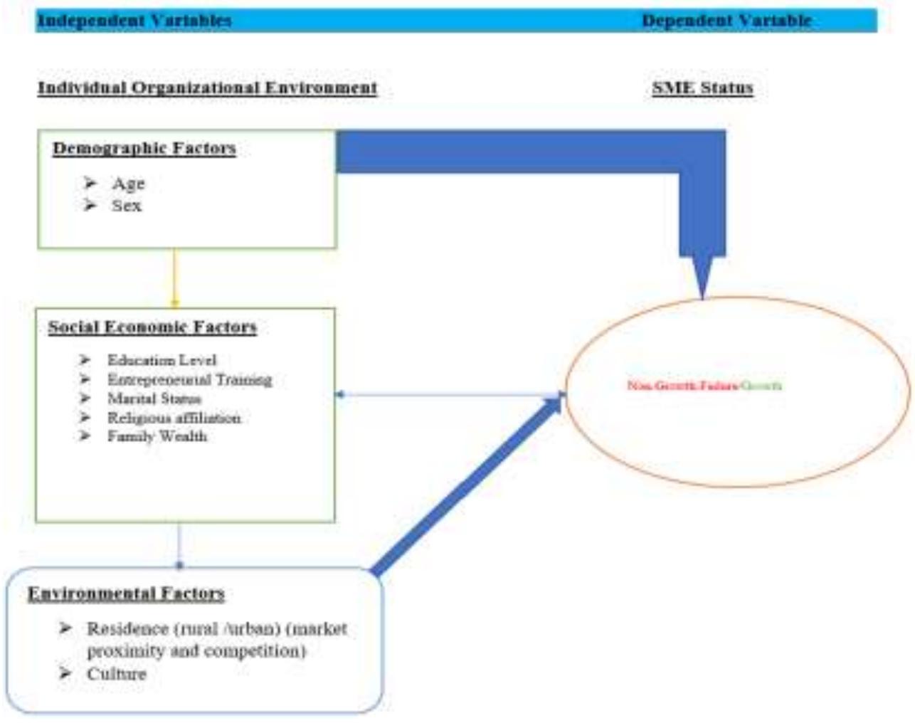 Summary of the conceptual framework adapted from klima’s et