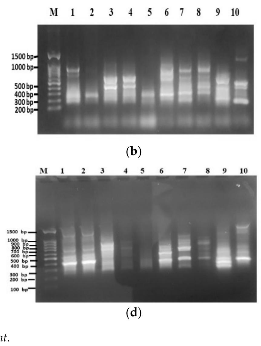 (PDF) Biosystematic Study on Some Egyptian Species of Astragalus L ...