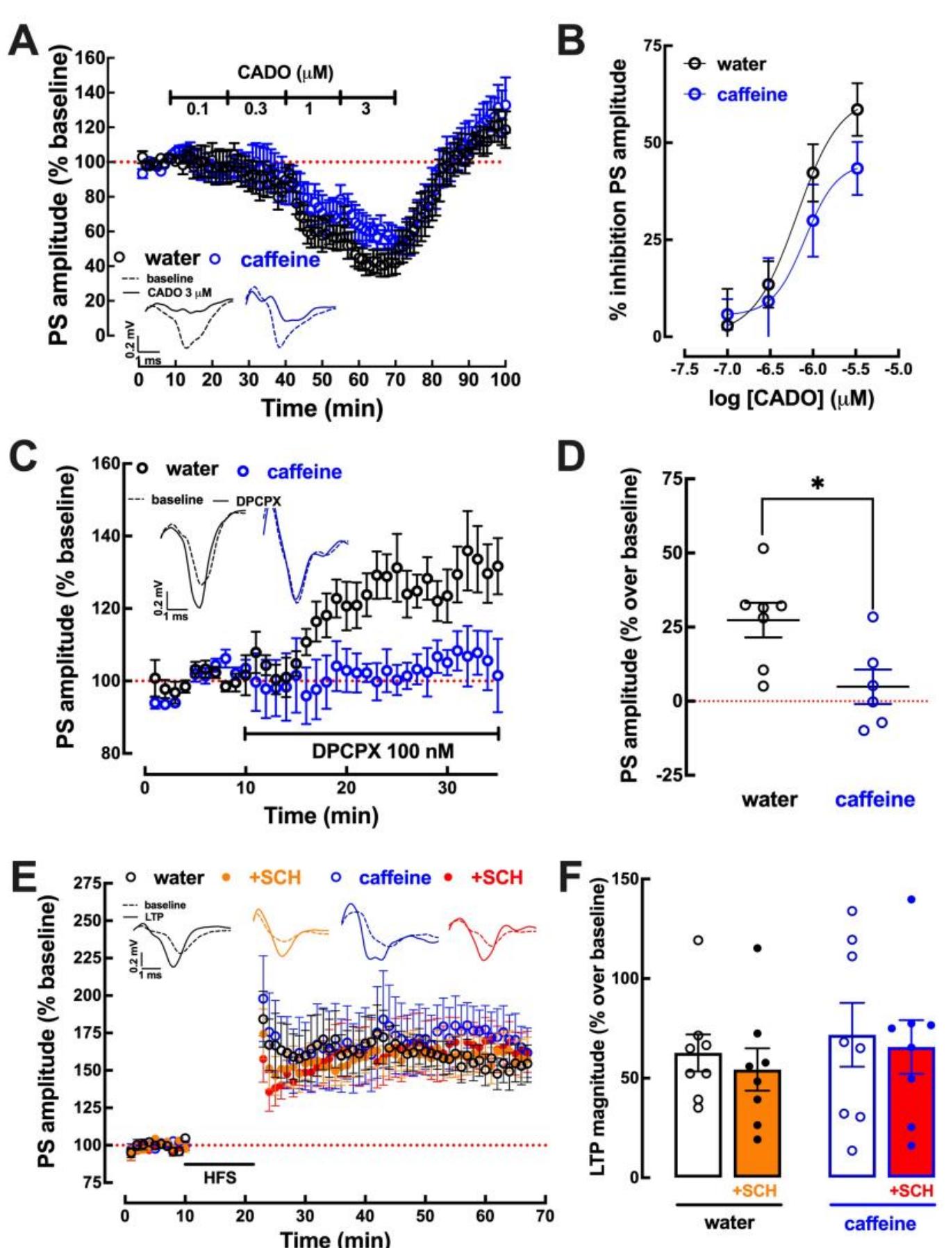 (PDF) Effects of Chronic Caffeine Consumption on Synaptic Function ...