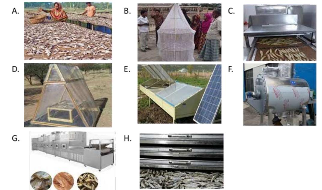 (PDF) Factors influencing the nutritional composition, quality and ...