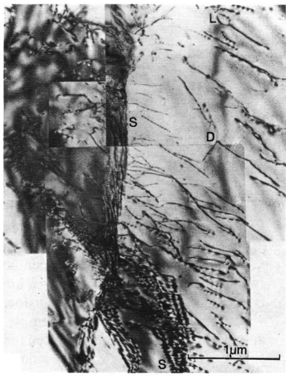 Tem image of dislocation structures in quartzite sci881