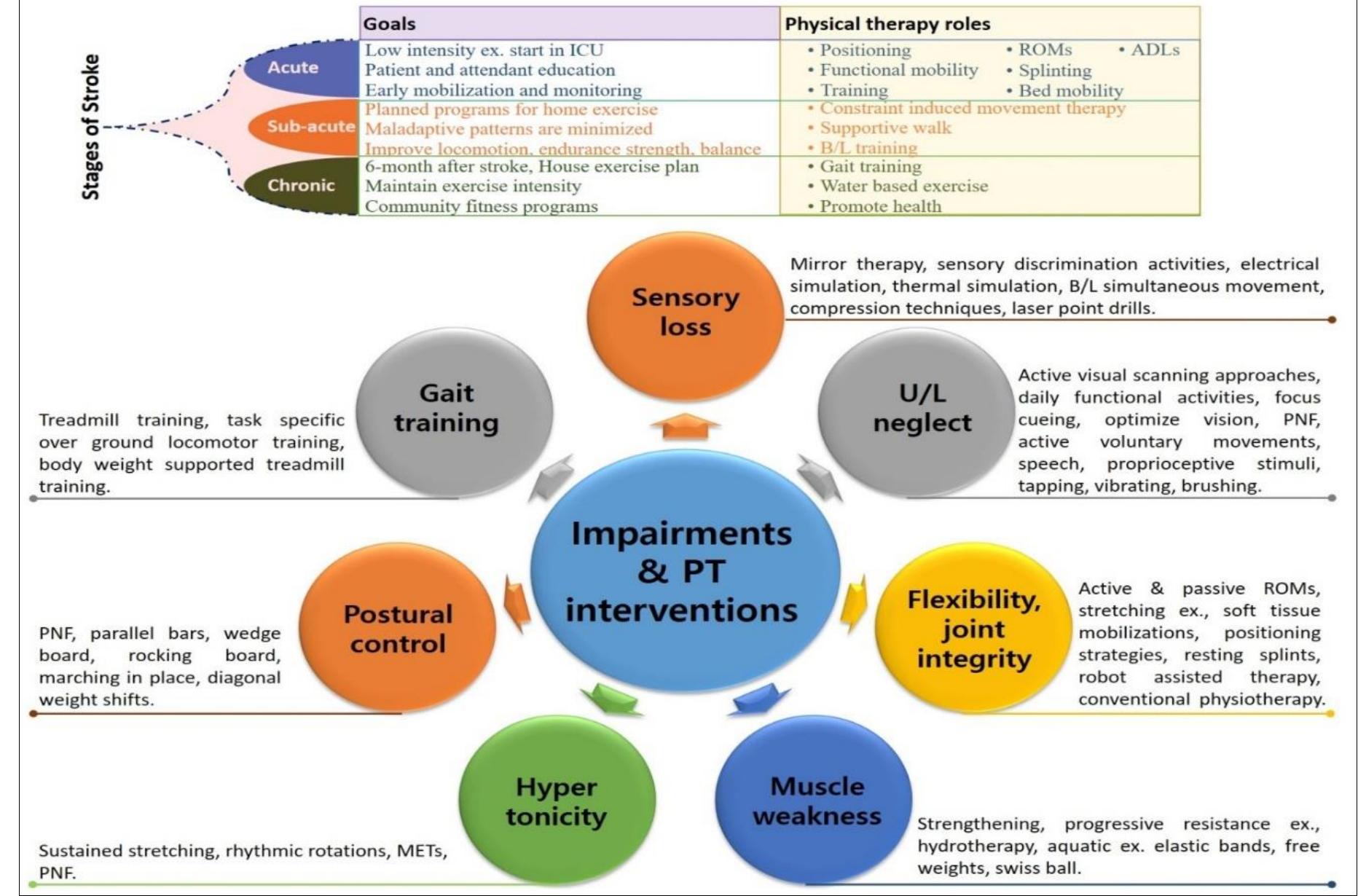 (PDF) Physical rehabilitation of the visually impaired and its ...