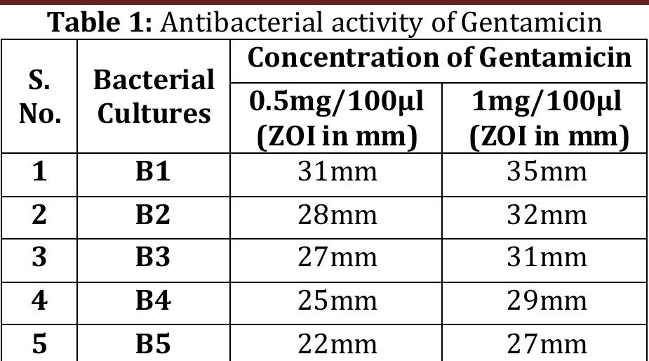 (PDF) In Vitro Antibacterial Effects of Piper Longum Fruit Extracts on ...