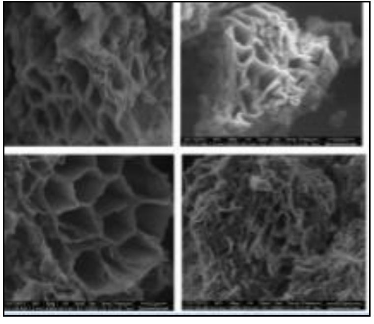 (PDF) Removal of Turbidity of Water by Banana Peel Using Adsorption ...