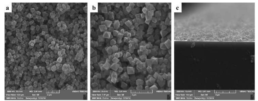 Figure 1. SEM images of synthesized MIL-101(Cr); (a) Powder sample, (b) surface, and (c) cross-sectional image of the fabricated film. 