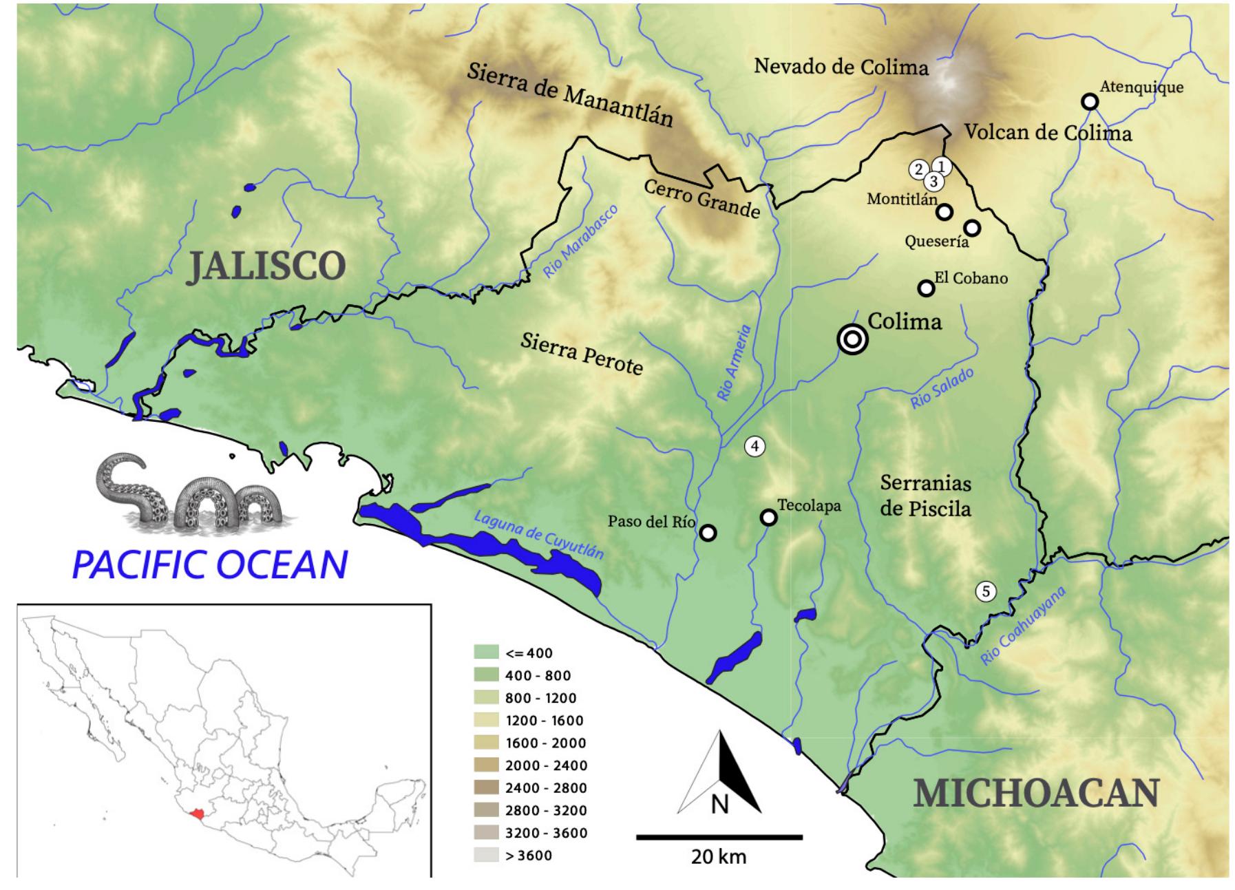 (PDF) A Revision of the Herpetofauna of Colima, Mexico