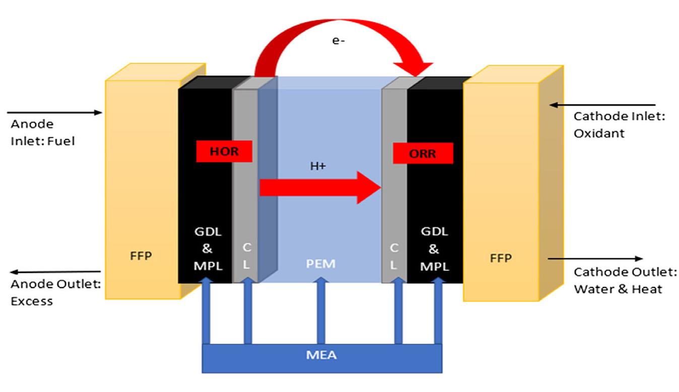 Suc Material (PDF) A Review on Bioinspired Proton Exchange Membrane Fuel Cell ...