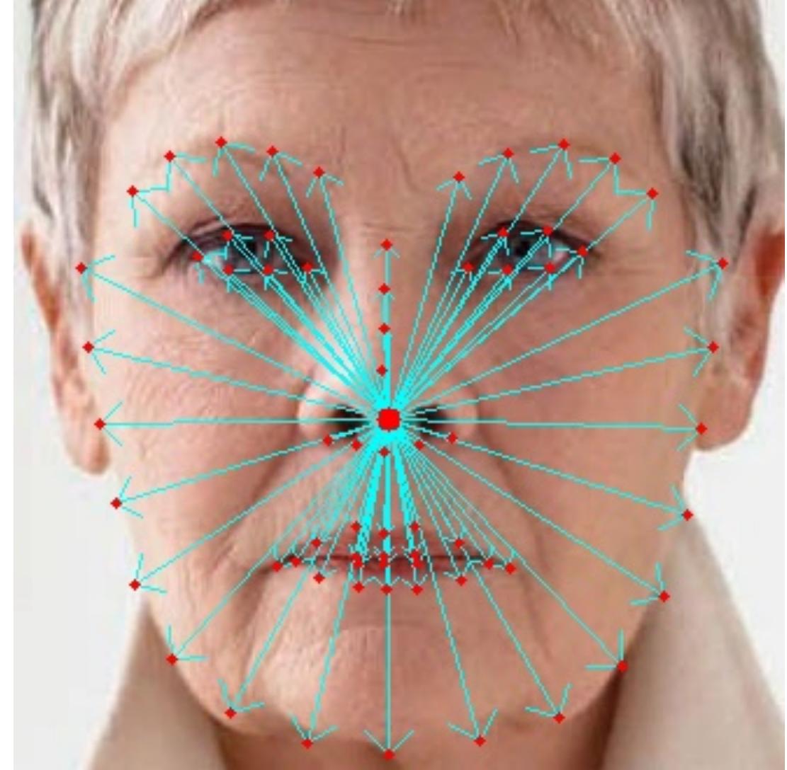 (PDF) A Comparison of Face Verification with Facial Landmarks and Deep ...
