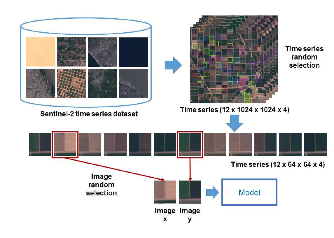 (PDF) Learning Disentangled Representations of Satellite Image Time Series