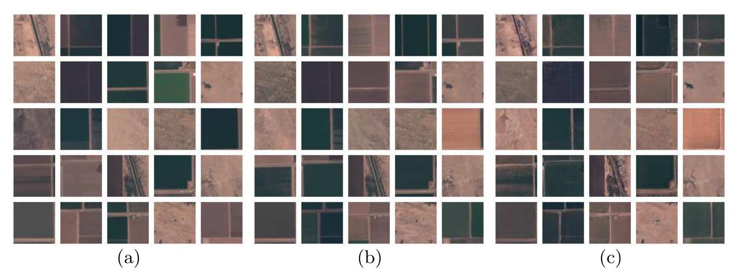 (PDF) Learning Disentangled Representations of Satellite Image Time Series