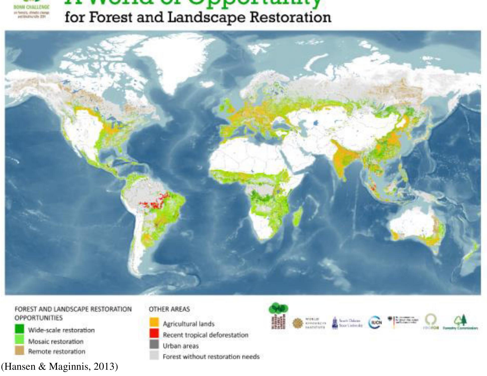 (PDF) Restoration Trajectories in Forest Ecosystems with special ...