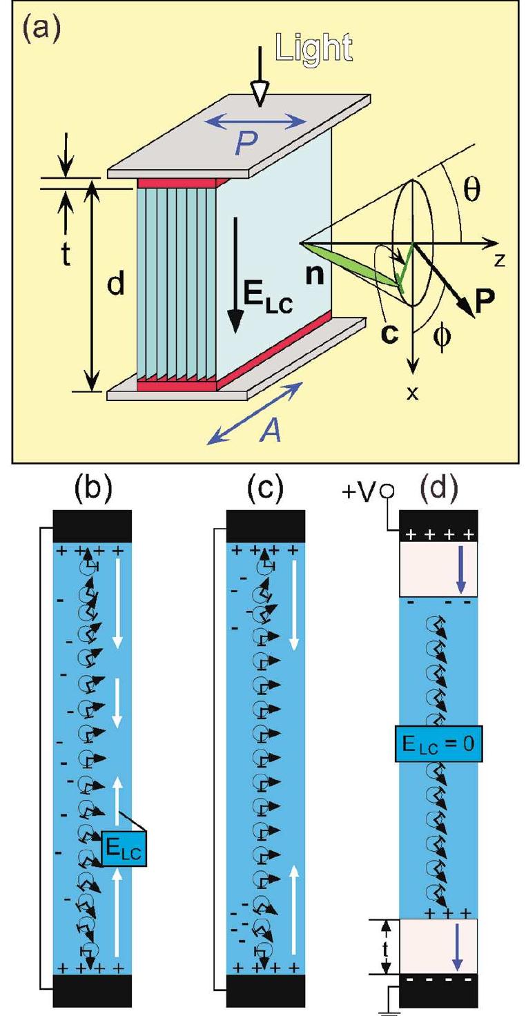 (PDF) Control of Molecular Orientation in Electrostatically Stabilized ...
