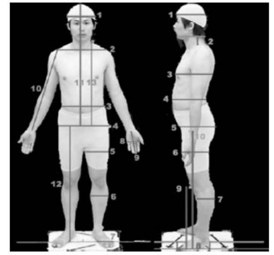 (PDF) Web Based Digital Image Processing Tool for Body Shape Detection