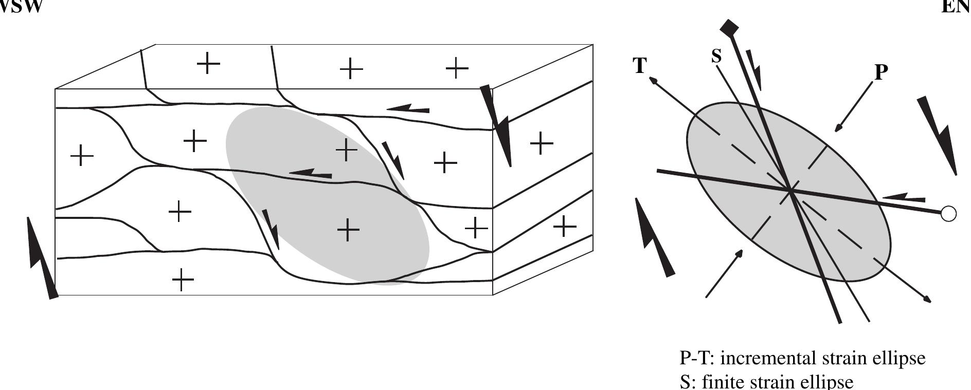 Kinematic interpretation of the deformation in the novate
