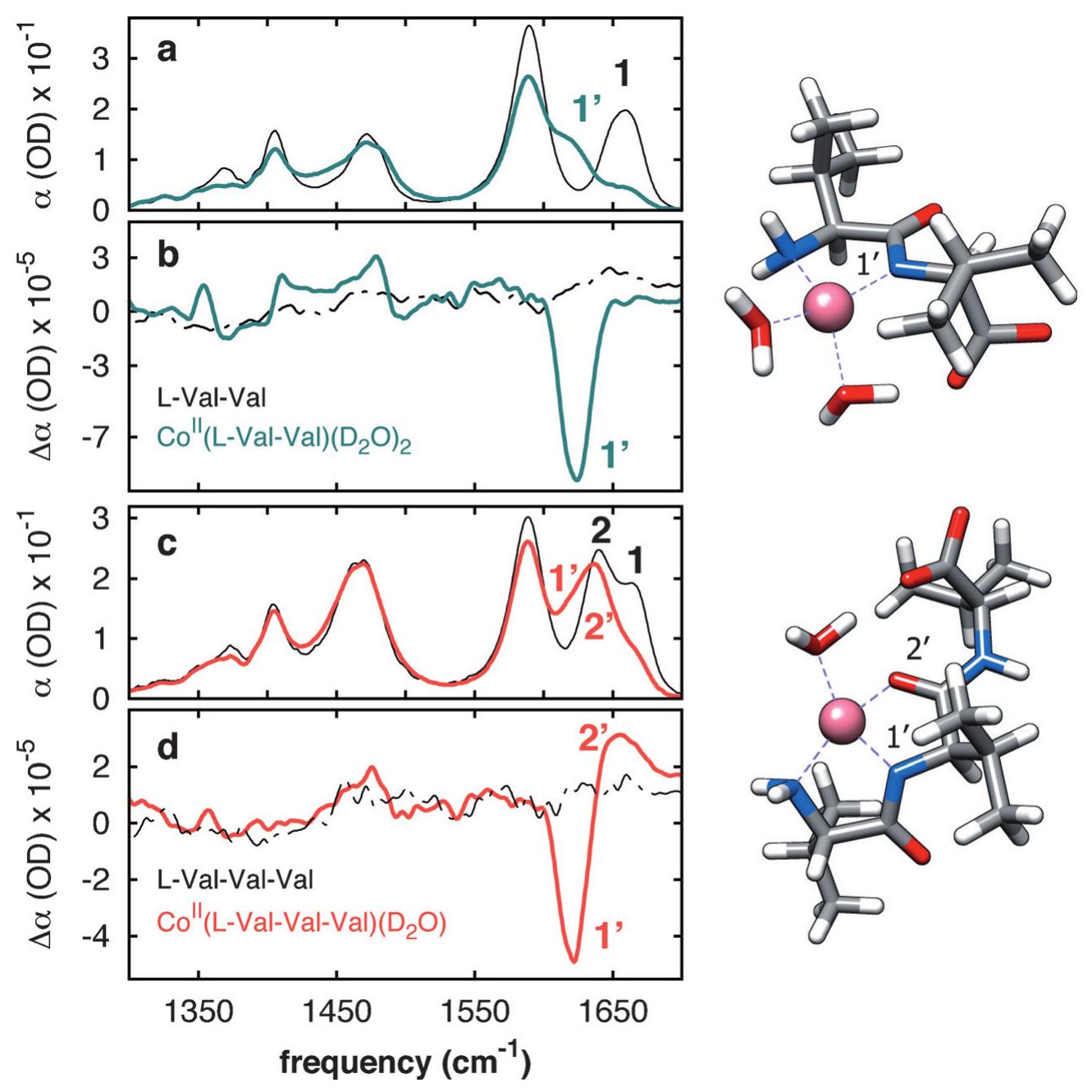(PDF) Elucidating the Structure of Chiral Molecules by using Amplified ...