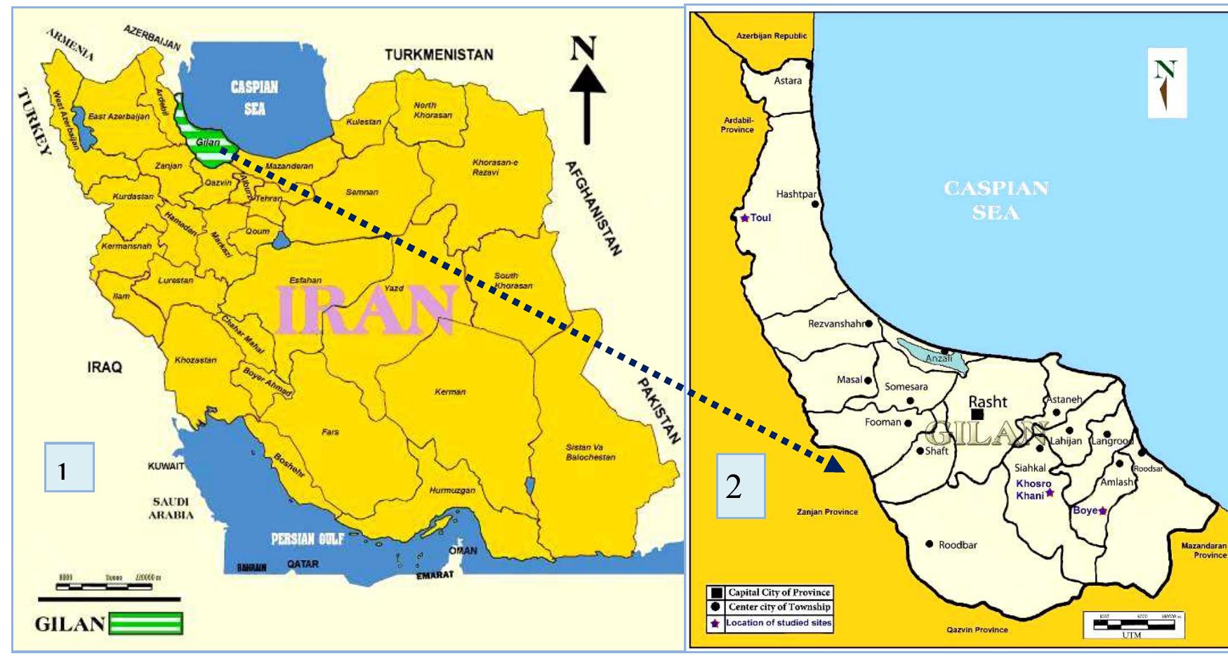 Fig. 1: (right one) The Map of Iran showing all provinces, with Gilan highlighted and (left one) the map of  The site of Toul is located in the West of  47 graves had been identified in Toul. The discovered graves can be divided into three distinct types in terms of shape as follows: 1. Enclosure Graves (four walls) 2. Simple Vacuolar Graves 3.Megalithic Graves. 