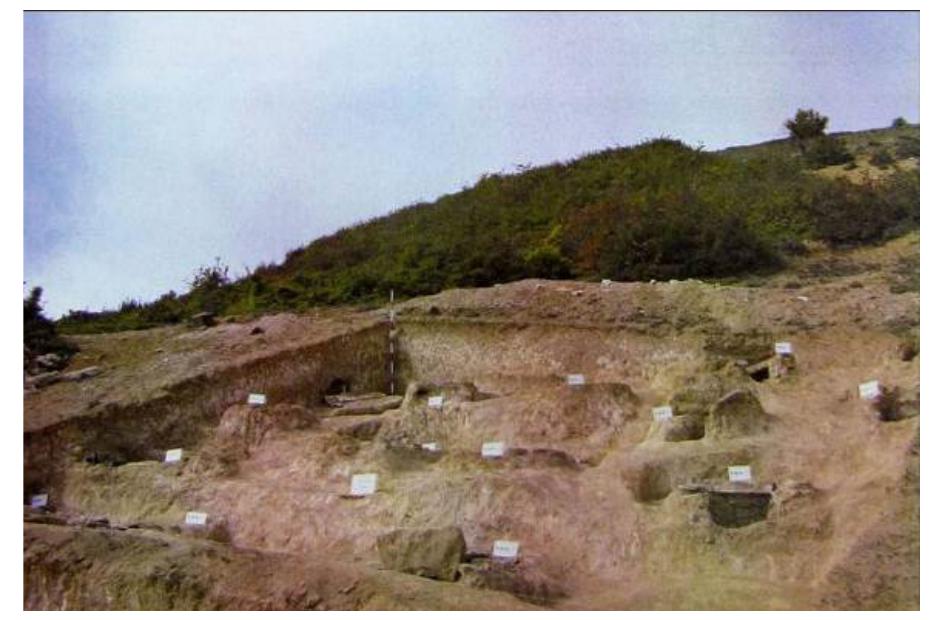Fig.3: The view of Boye site (Gardanesar) in the time of excavation (2008). 