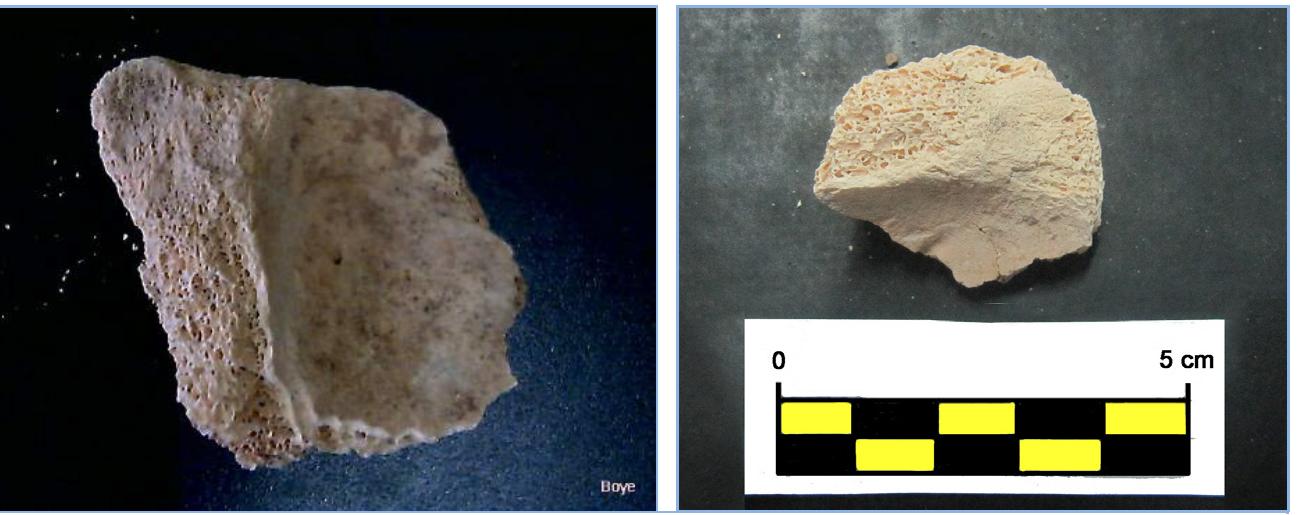 Fig.7: Human Hip bone fragment from Boye 