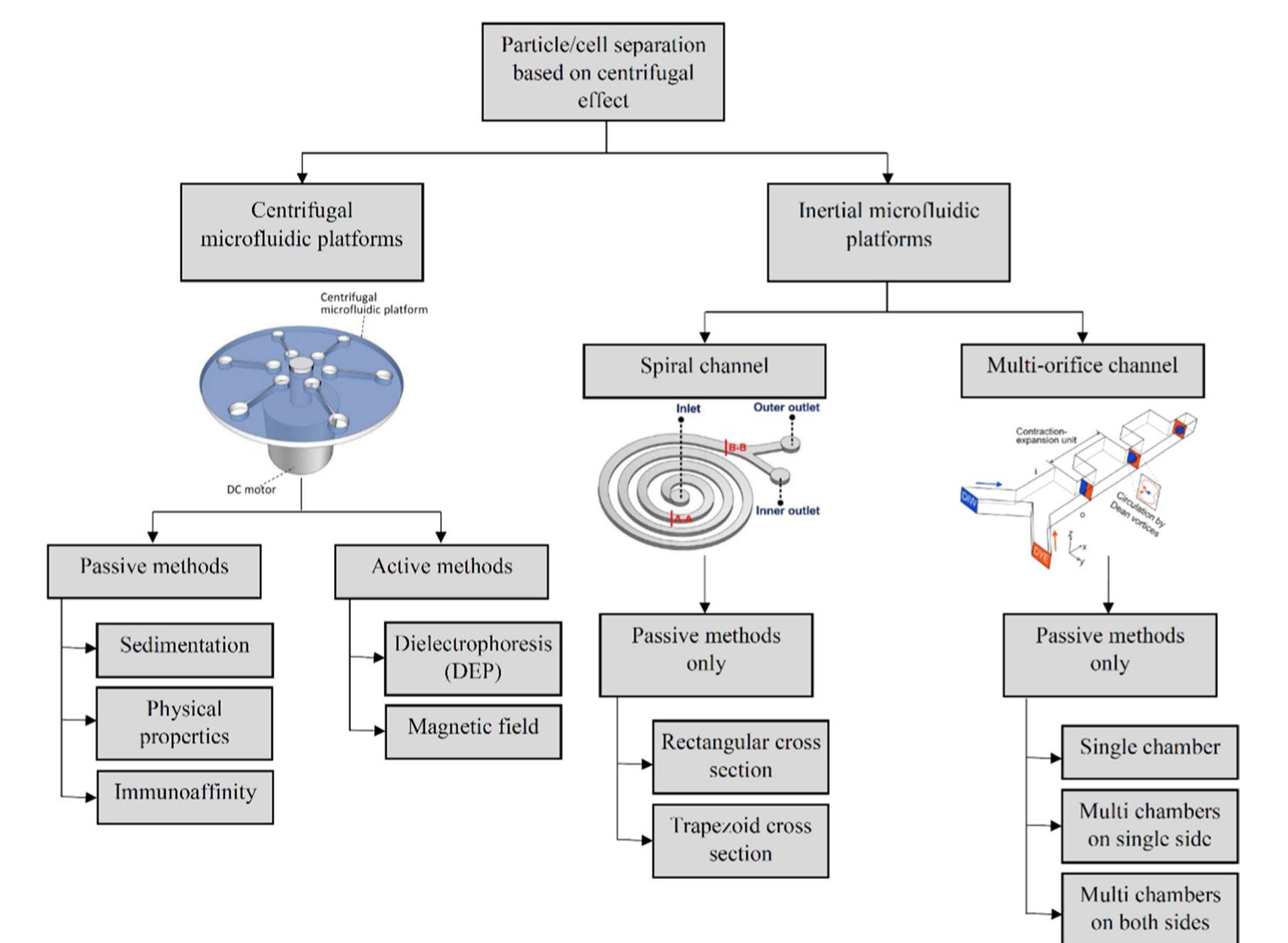 (PDF) Particle/cell separation on microfluidic platforms based on ...