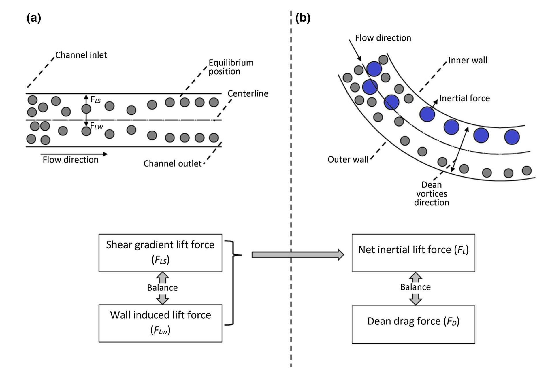 (PDF) Particle/cell separation on microfluidic platforms based on ...