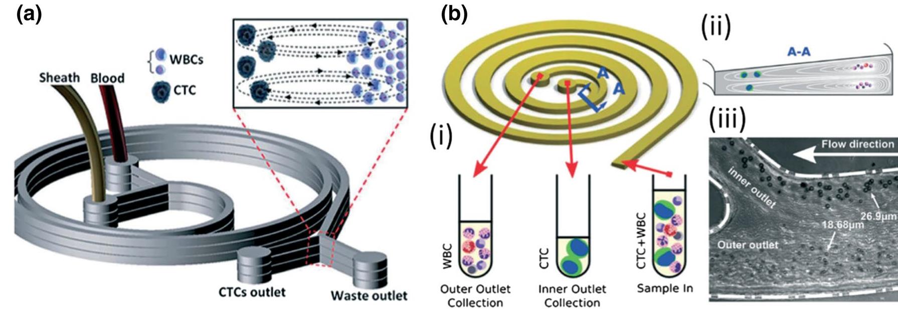 (PDF) Particle/cell separation on microfluidic platforms based on ...