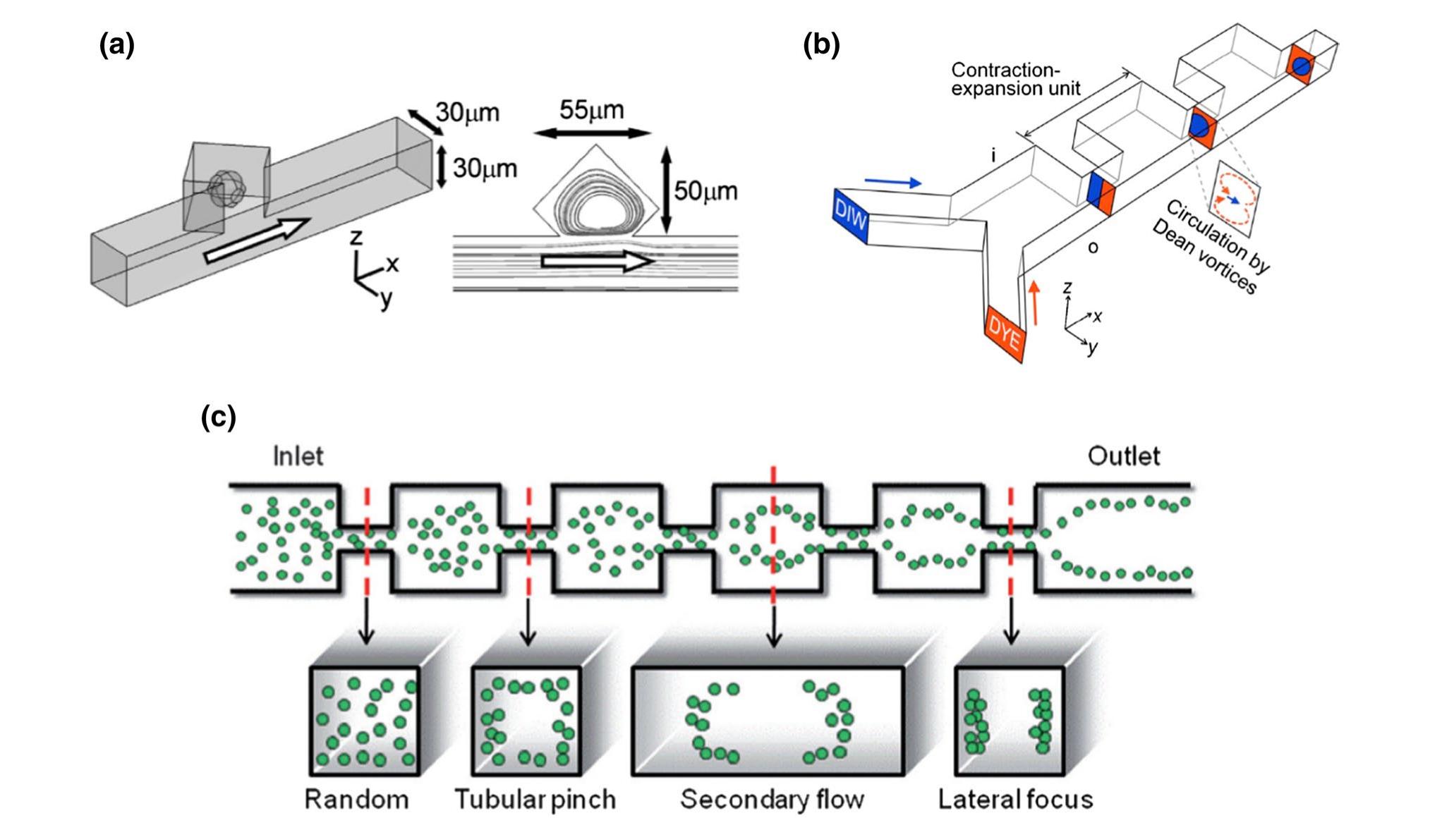 (PDF) Particle/cell separation on microfluidic platforms based on ...