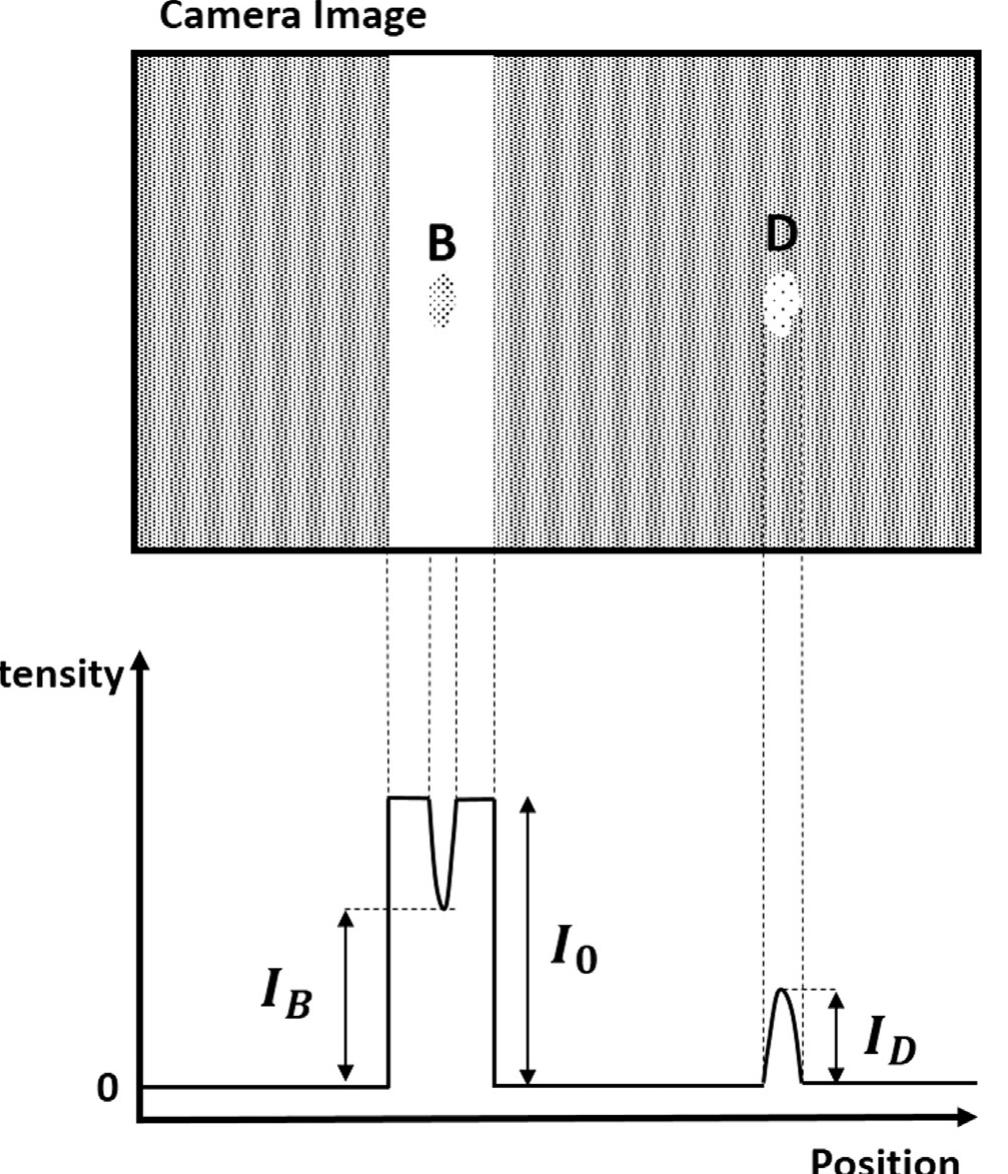 A schematic representation of the captured image under