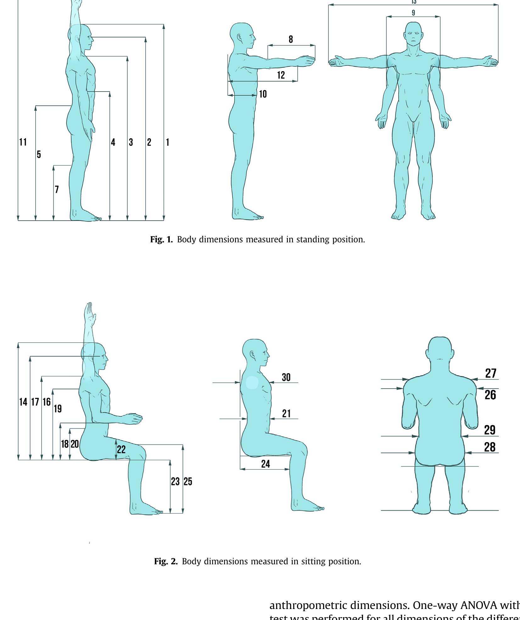 Figure 1 - from Anthropometry of the Singaporean and