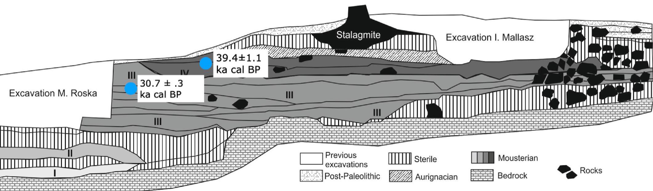 Fig. 4. Composite profile from Bordu Mare (Ohaba Ponor) showing previous excavations by Roska, Mallasz and Paunescu. Location of the newly reported radio- carbon ages are marked(Redrawn from Paunescu, 2001). 