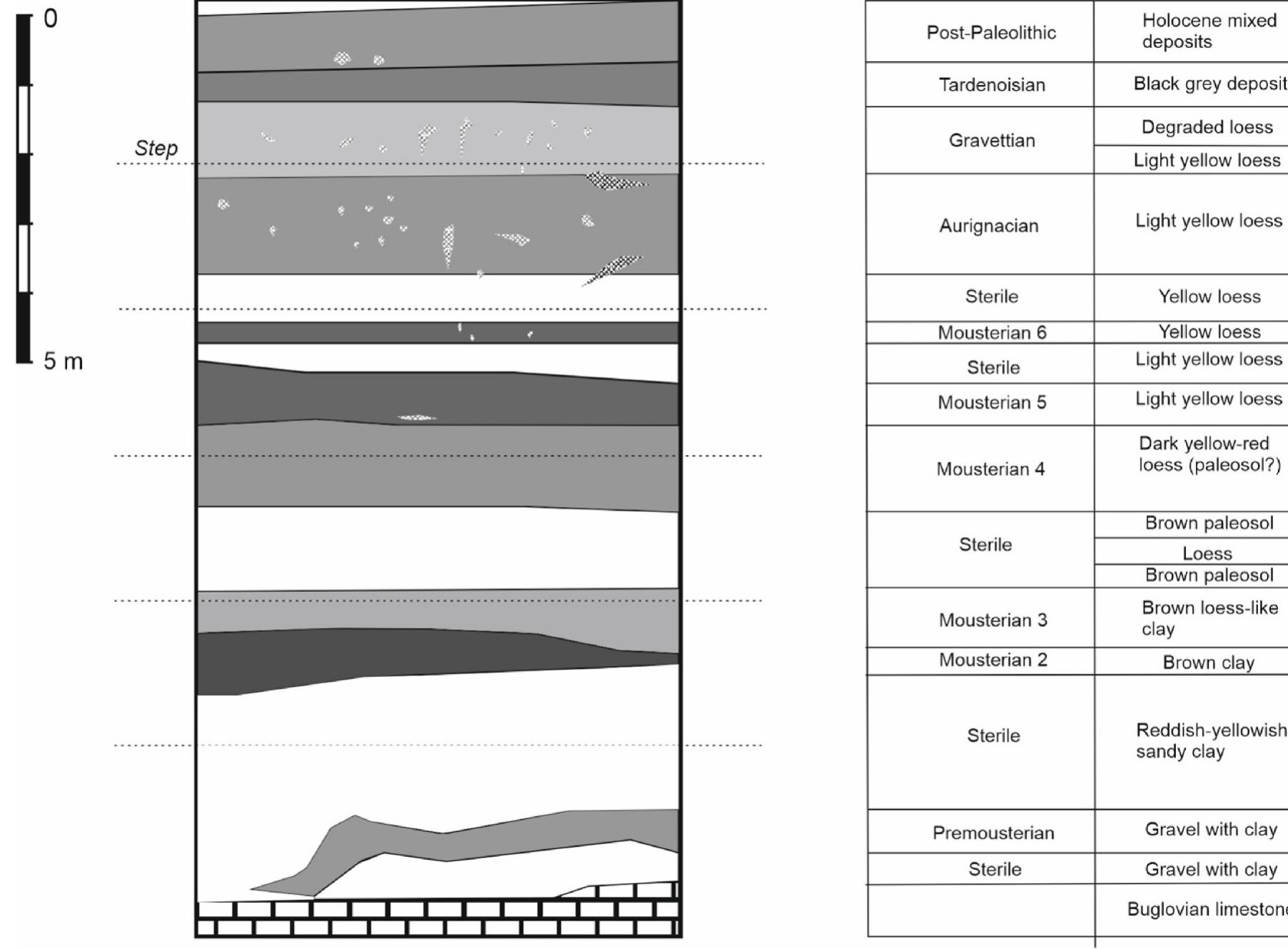 Fig. 5. Schematic stratigraphy from Ripiceni-Izvor (modified from Paunescu, 1993)  Conventional radiocarbon ages bracket the Middle Paleolithic  The nearby site of Mitoc-Valea Izvorului, an in situ evolution of Mousterian to Upper Paleolithic industries via a transitional industry was posited within the 4.30m loessic/sandy sequence where artifacts were found throughout (Bitiri, 1965, 1987; Bitiri and Carciumaru, 1978; Carciumaru, 1999). Here, Levallois debitage, side scrapers, notches, and oval bifacial artifacts were recovered alongside prismatic blade cores, endscrapers, chisels and borers. Recent re-excavations and radiometric 