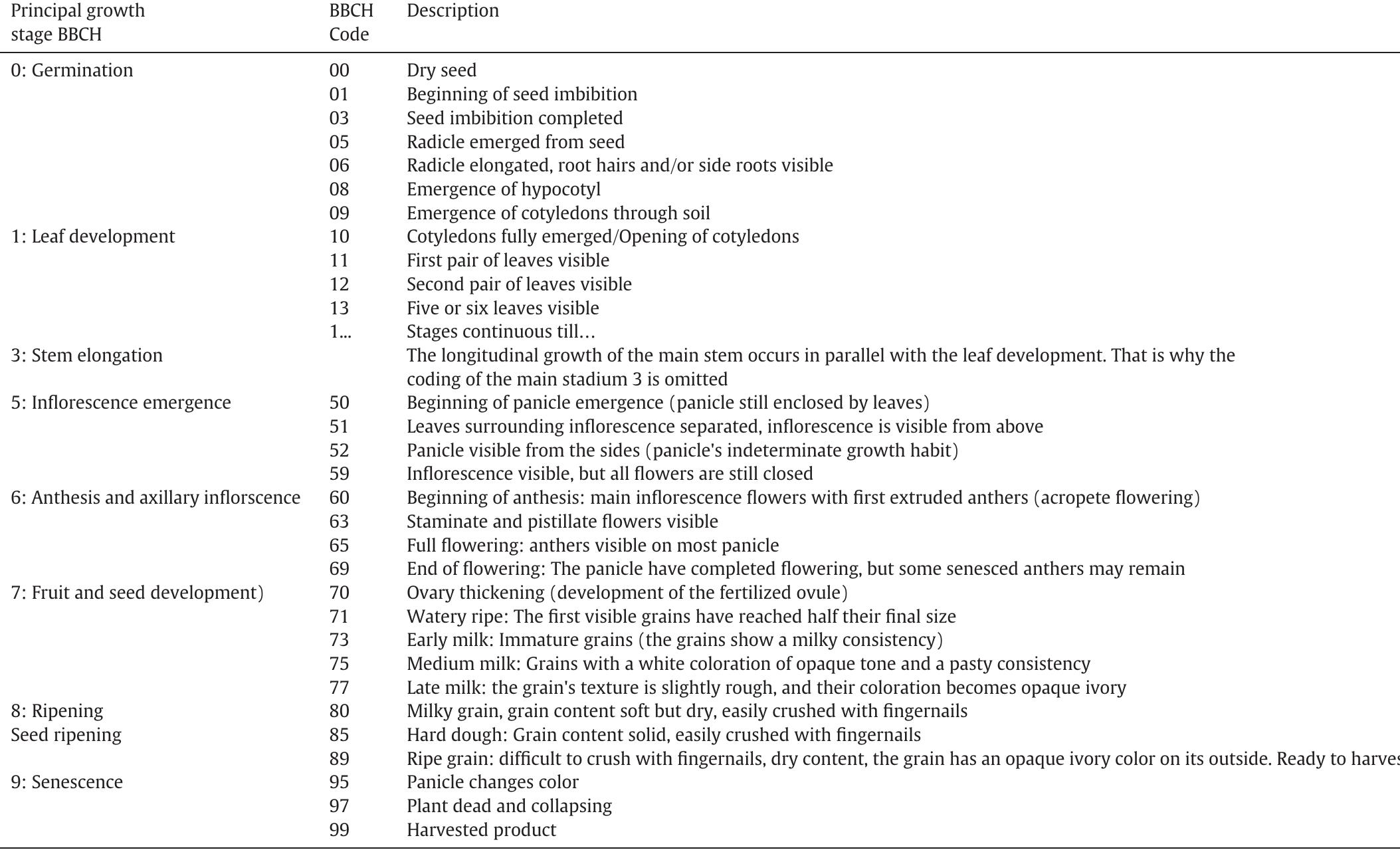 (PDF) The phenological growth stages of different amaranth species ...
