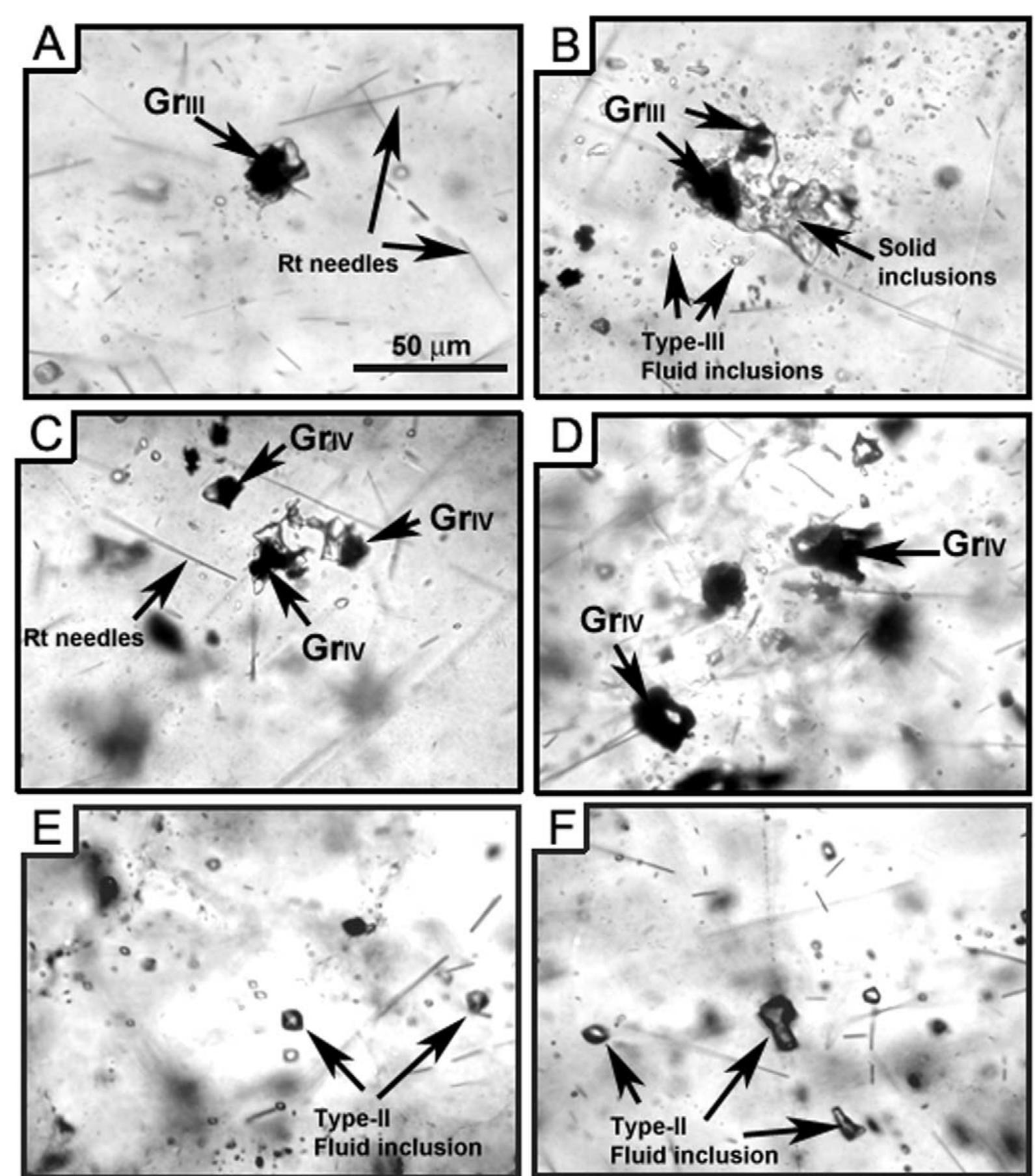 Graphite Inclusions Figure 3 - from Graphite-bearing CO2-fluid inclusions in
