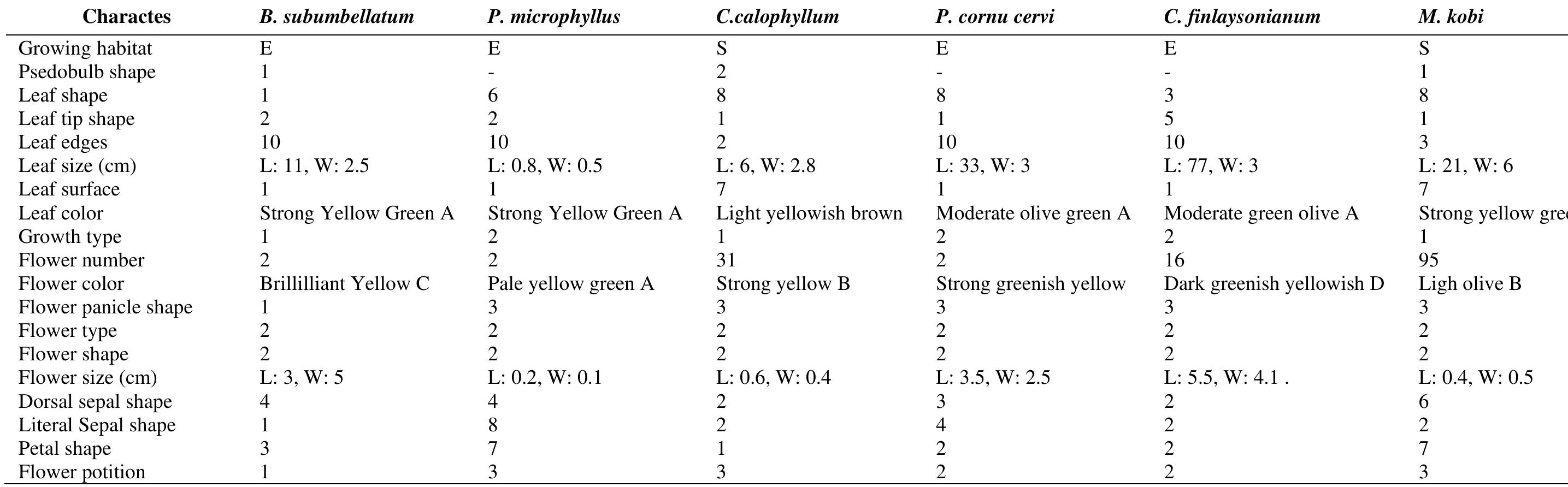 (PDF) Diversity and morphological relationship of orchid species ...