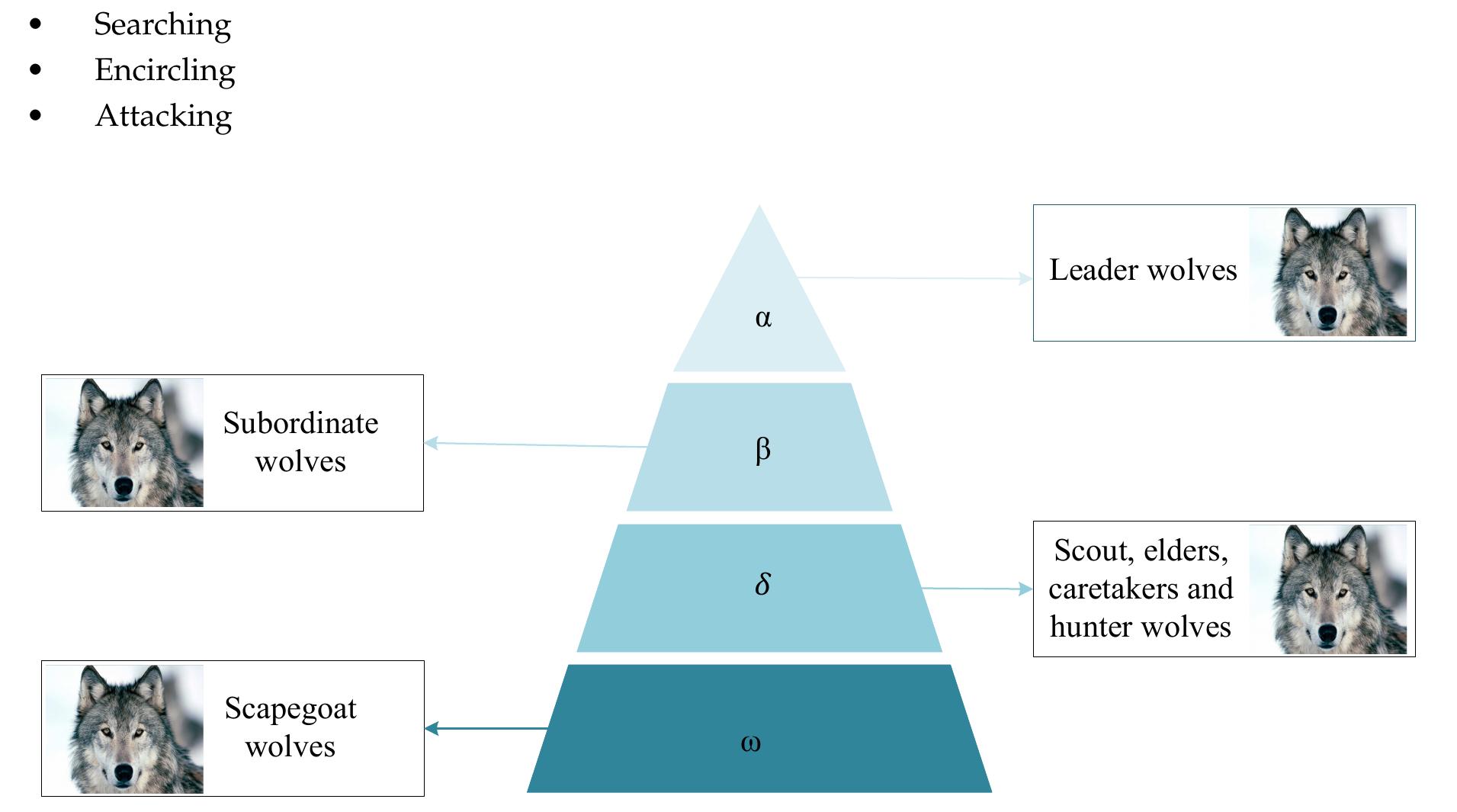 Wolves Solution (PDF) An Enhanced Multi-Objective Gray Wolf Optimization for Virtual ...