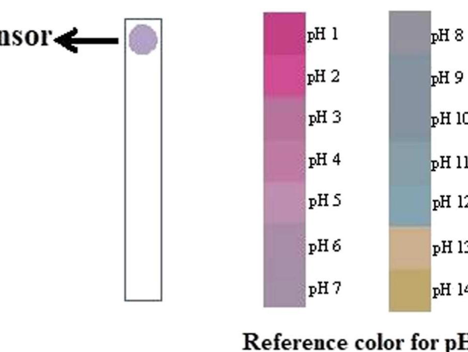 the pH sensor color change also varied from blue-gray to pinkish-gray  TABLE 5 ~~ The summarized results of pH measurements toward different beverage samples using the edible pH sensor in comparison with other pH methods 
