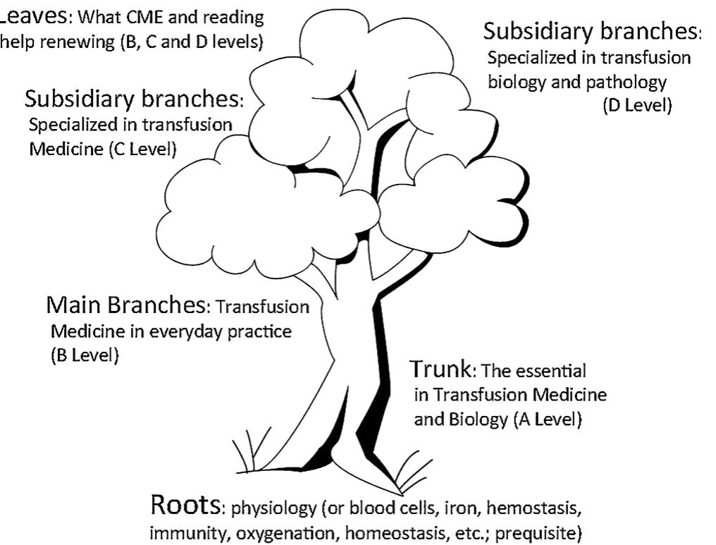 Medication Patho Tree (PDF) Medical student education in transfusion medicine: Proposal from ...