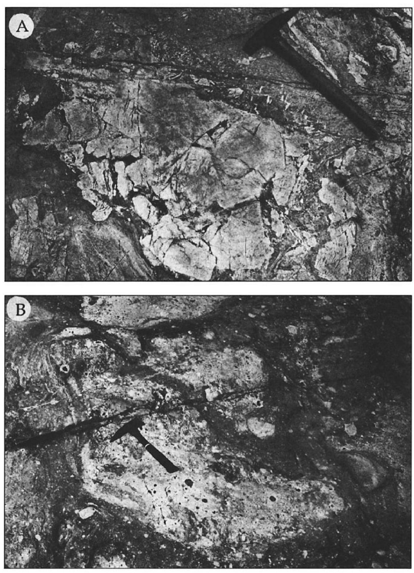 (PDF) Middle Cretaceous ash-flow tuff and caldera-collapse deposit in ...