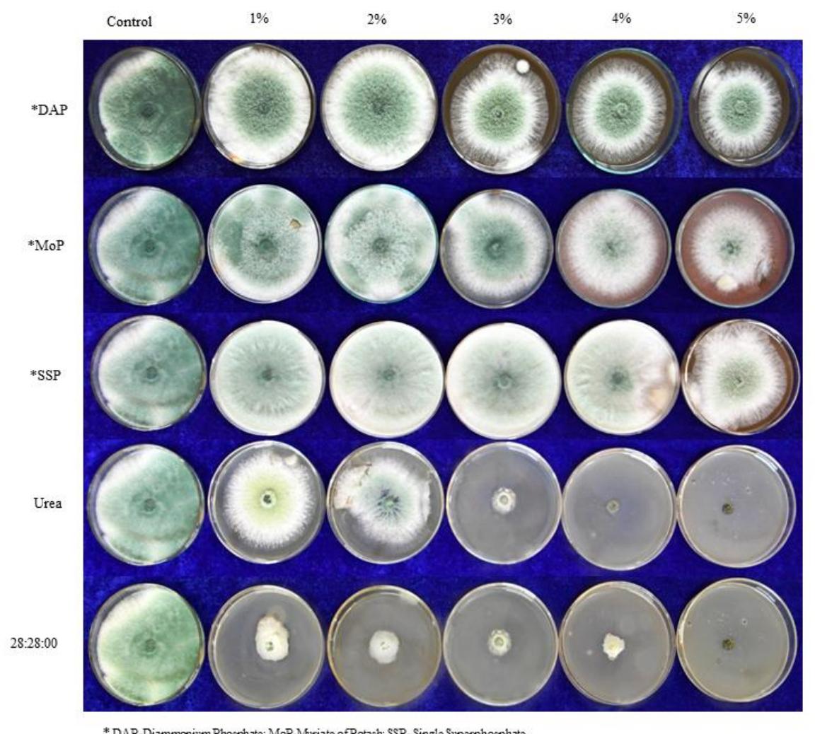 Trichoderma Compost Setup (PDF) Preparation of Nutrient Enriched Bio-Formulation(s) Using Vermi ...