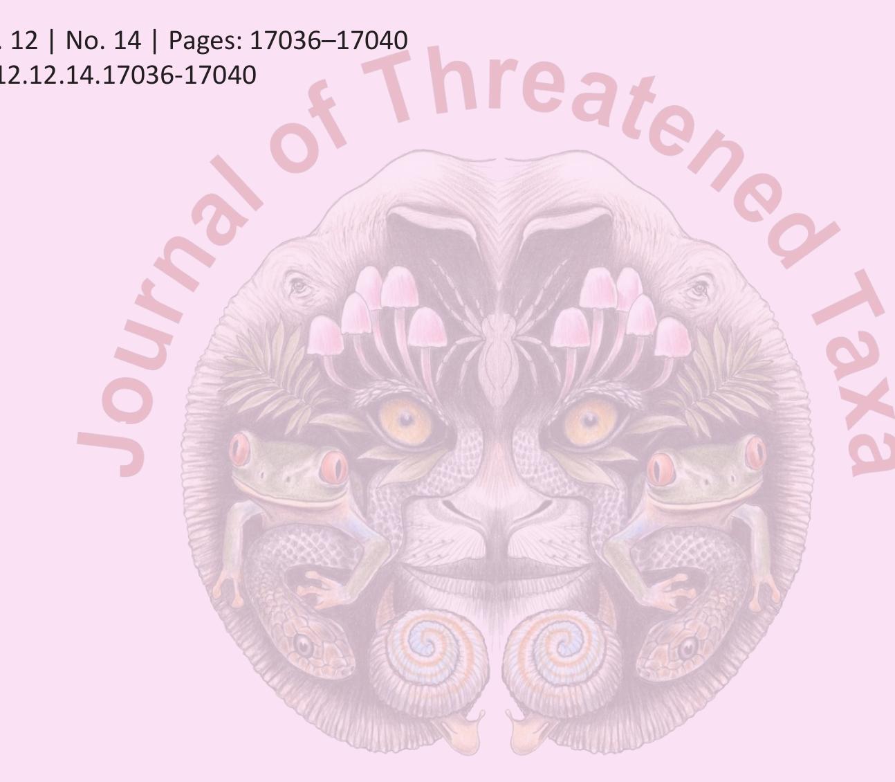 (PDF) A first distribution record of the Indian Peacock Softshell ...