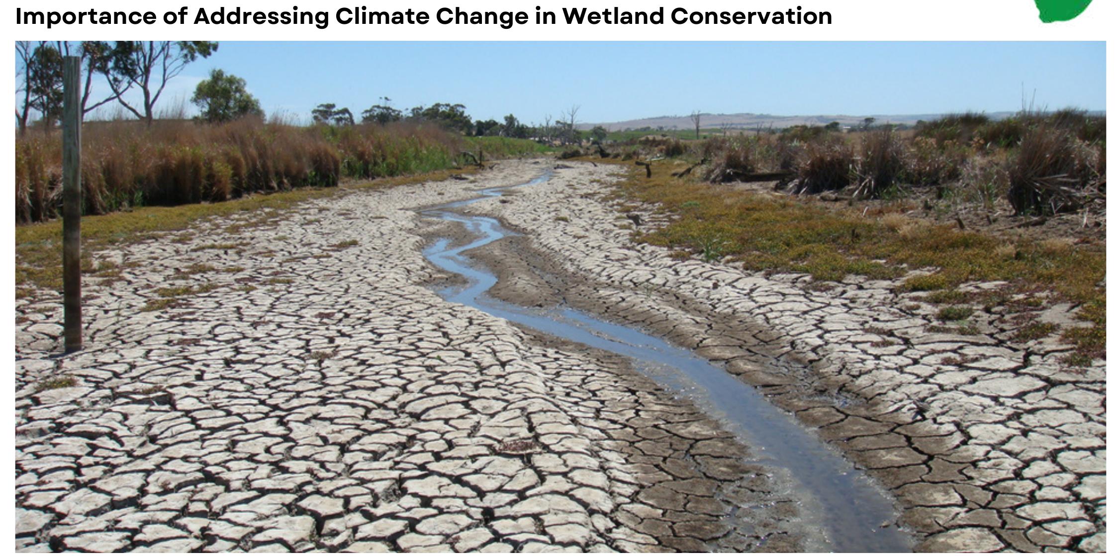 Eratic Rainfall Pattern (PDF) Wetlands in Uganda , Conservation and Economic Significance