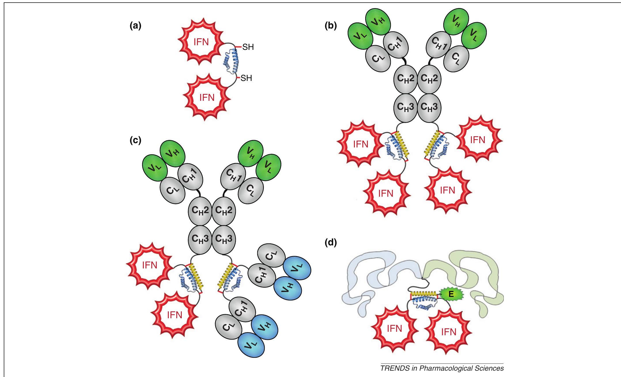 (PDF) Complex and defined biostructures with the dock-and-lock method