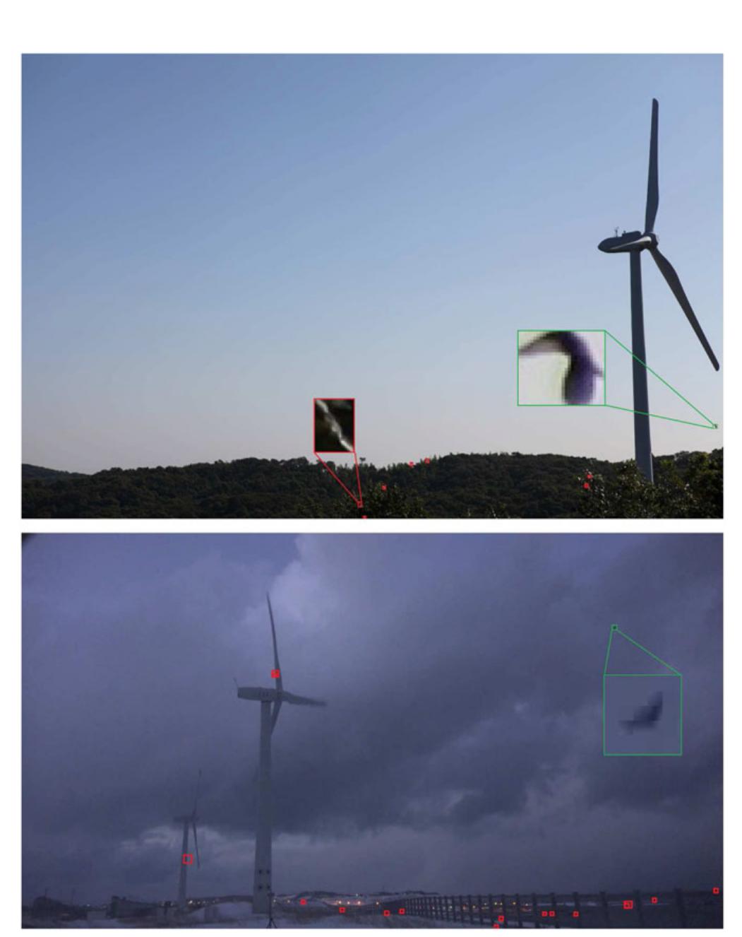 (PDF) Bird detection and species classification with time-lapse images ...