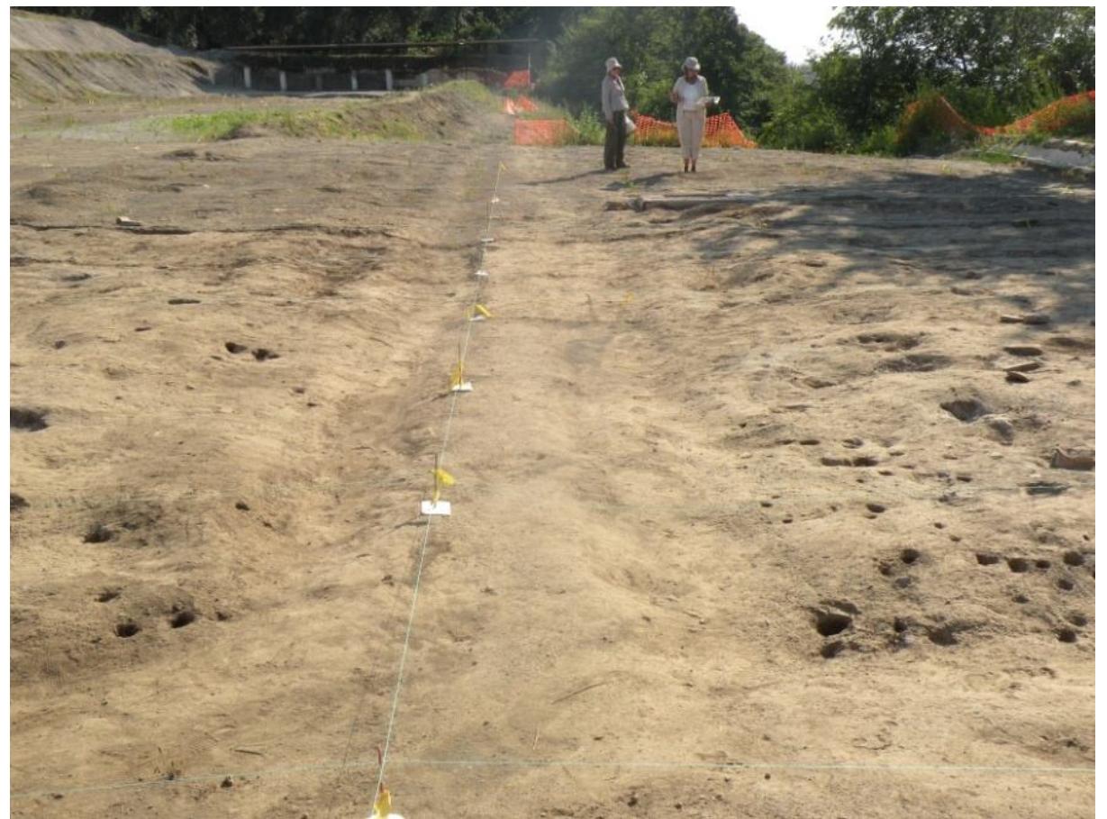 Fig. 4 — View of PB 1 and PB2 (lan Sutherland; Courtesy RAS). 